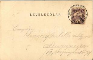 1901 Budapest II. Hűvösvölgyi erdő. Divald Károly 575