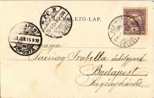 1900 Kiskunfélegyháza, Félegyháza; szélmalom. Feuer Illés kiadása / windmill