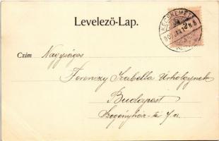 1900 Kecskemét, piac, Gyenes S. és fiai reklám, Városháza, üzletek