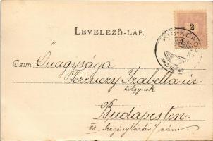 1899 (Vorläufer) Kiskőrös, városháza. Majoros Pál kiadása