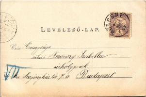 1900 Bölcske, Református iskola, templom és paplak, Római katolikus templom és iskola, óvoda. Schwid...