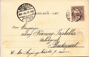 1900 Tolna, Szent István tér, Szentháromság szobor, takarékpénztár. Isgum frigyes kiadása (fl)