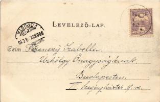 1900 Dunaföldvár, délkeleli rész. Schwarz Manó kiadása