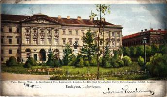 1899 (Vorläufer) Budapest VIII. Ludoviceum. Walter Haertel, C. Andelfinger & Cie. Nr. 162.