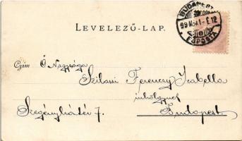 1899 (Vorläufer) Budapest VIII. Ludoviceum. Walter Haertel, C. Andelfinger & Cie. Nr. 162