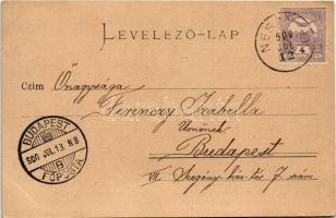 1900 Tata-Tóváros, Tatatóváros; A grófi télikert bejárata. Engländer és társa kiadása (EK)