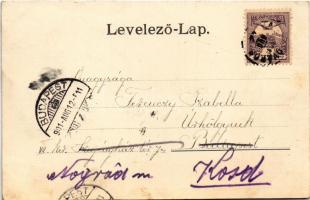 1901 Tata-Tóváros, Tatatóváros; Nagytó háttérben az Öreg vár. Engländer és társa kiadása (fl)