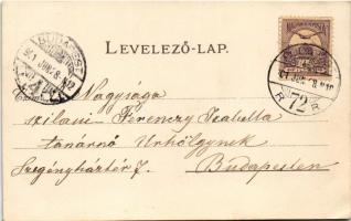 1901 Budapest XII. Zugliget, Laszlovszky-hegy, villák (ma Hunyad-orom). Jung Károly kiadása, Athenae...