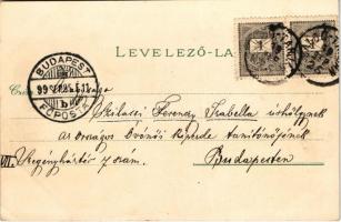 1899 (Vorläufer) Salgótarján, Cognac gyár, Weisenbacher János üzlete, Károly-akna, üveghuta, villany...