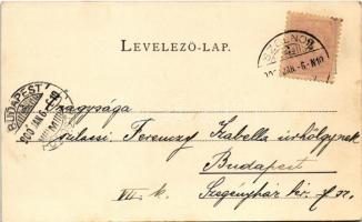 1900 Szolnok, Szabadságharcos szobor. Fuchs Lipót kiadása