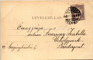 1900 Balassagyarmat, Római katolikus templom, Városháza, Hitelintézet, Himmler Bertalan üzlete. Haly...