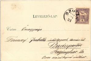 1901 Szirák, Gróf Degenfeld kastély, Evangélikus templom, Fő tér, Fő utca, üzlet, Özv. Kasszay Zsigm...