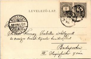 1899 (Vorläufer) Salgótarján, posta, szolgabírói hivatal. Friedler Armin kiadása Art Nouveau, floral