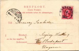 1904 Norrköping, Ö. Flickläroverket / girl school (EK)