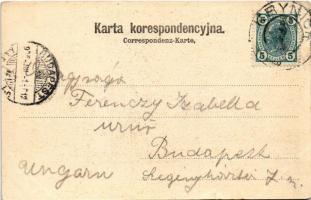 1905 Krynica, Krynica-Zdrój; Witoldówka / villa (tear)