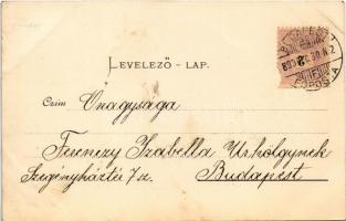 1899 (Vorläufer) Gödöllő, Erzsébet (Sissi) királyné lugasa. Pick testvérek kiadása