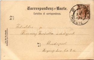 1897 (Vorläufer!) Trieste, Trieszt; Castello Miramare, Il giardino / castle, garden