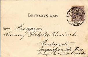 1900 Gödöllő, Királyi kastély. Divald Károly 228