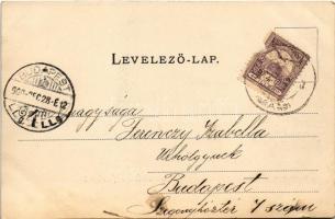 1900 Budapest XX. Pestszenterzsébet, Erzsébetfalva; Pesterzsébet felső HÉV vasútállomás, vonat, XIIh...