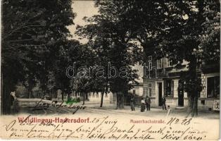 1903 Wien, Vienna, Bécs XIV. Hadersdorf-Weidlingau, Weidlingau; Mauerbachstraße / street view, shop (EK)