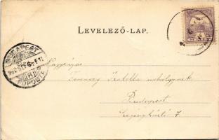 1900 Budapest XXI. Csepel sziget, kőhíd (EK)