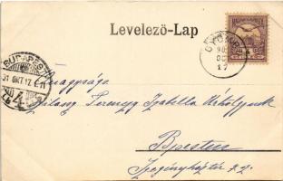1901 Gyömrő, Széki Teleki Tibor gróf nagy és kis kastélya. Art Nouveau floral