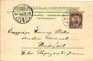 1901 Újvidék, Novi Sad; Pétervárad vár és kapu / Petrovaradin castle and gate. Art Nouveau litho