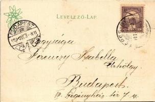 1901 Barlangliget, Höhlenhain, Tatranská Kotlina (Magas-Tátra, Vysoké Tatry); Szepesbéla nyaraló a r...