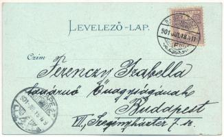 1901 Beszterce, Bistritz, Bistrita; Iparegyesület / Gewerbeverein / Societatea industriala / industr...
