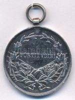 1917. "Károly Ezüst Vitézségi Érem II. osztálya" peremén jelzett Ag kitüntetés mellszalag ...