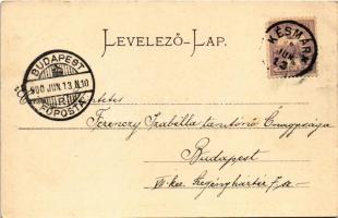 1900 Tátralomnic, Tatranská Lomnica (Magas-Tátra, Vysoké Tatry); Tátra-Lomniczi gyógyház / Kurhaus /...