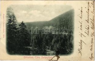 1900 Barlangliget, Höhlenhain, Tatranská Kotlina (Magas-Tátra, Vysoké Tatry); (fl)