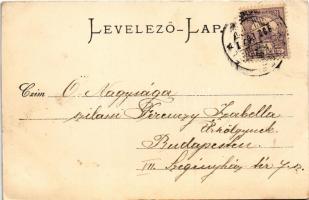 1900 Barlangliget, Höhlenhain, Tatranská Kotlina (Magas-Tátra, Vysoké Tatry); (fl)