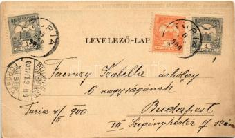 1900 Szenttamás, Bácsszenttamás, Srbobran; Üdvözlet Bácskából! Krivaja (Bács-ér, kanyarodó) torkolat...