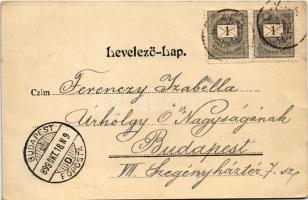 1899 (Vorläufer) Újvidék, Novi Sad; Pétervárad vára, vasúti híd / Petrovaradin castle, railway bridg...