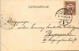 1900 Kolozsvár, Cluj; Magyar királyi állami tanítónőképző intézet parkja. Dunky Fivérek kiadása / pa...