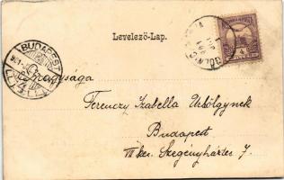 1901 Thurzófüred, Kupele Turzo (Gölnicbánya, Gelnica); Thurzóház. Matz G. 1900 kiadása / villa. Art ...