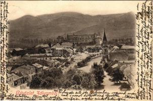 1901 Zólyom, Zvolen; látkép, vár. Steiner Lajos kiadása / general view, castle (kis szakadás / small tear)