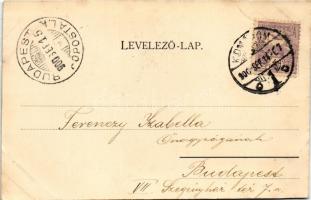 1900 Komárom, Komárnó; Jobbparti vasútállomás, vonatok. Spitzer Sándor kiadása / railway station, tr...