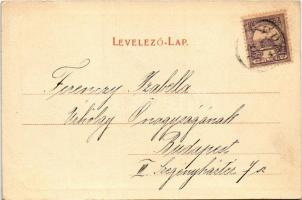 1902 Vedrőd, Voderady; Gróf Zichy József kastélya, tó és park részlete. Fischer Hugo kiadása / castl...