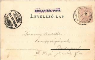 1899 (Vorläufer) Kassa, Kosice; Kossuth Lajos utca, Fő utca, Csermelyvölgyi kioszk, Hernád híd és ré...