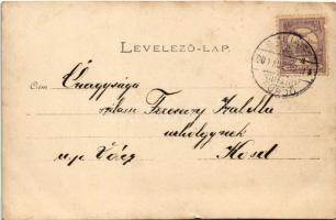 1900 Szliács, Sliac; Lenkey forrás / spa, mineral spring source. photo (vágott / cut)