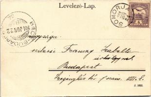 1901 Somorja, Csallóköz-Somorja, Somorin, Samorín; Szentháromság szobor, Balheim Károly üzlete. Dusc...