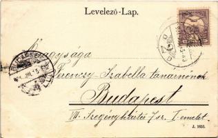 1901 Pozsony, Pressburg, Bratislava; Nyaralótelep III. Bimbóház. Duschinsky G. kiadása / Villen-Vier...