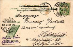 1902 Klagenfurt, Kärnthen, Heiligenblut m. Gr. Glockner, Chocolat Suchard / Swiss chocolate advertis...