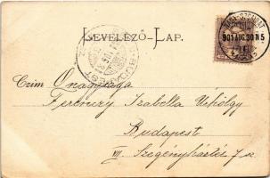 1901 Nagyszombat, Tyrnau, Trnava; Nagy Lajos utca, Josef Halle üzlete. Winter Zsigmond kiadása / str...