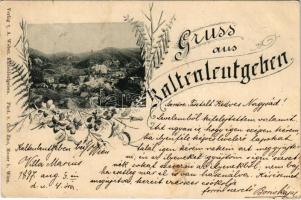 1897 (Vorläufer) Kaltenleutgeben, A. Weber, Phot. v. Carl Zins Art Nouveau, floral (EK)