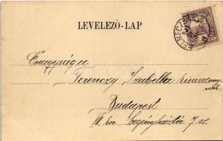 1901 Selmecbánya, Schemnitz, Banská Stiavnica; Bányászati és Erdészeti Akadémiai paloták. Joerges ki...