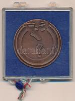 Lapis András (1942-) 1979. "Az ár betört! 1879 Március 12. éjfél után 2 óra - Száz évvel ezelőt...