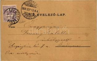 1900 Selmecbánya, Schemnitz, Banská Stiavnica; látkép / general view (EK)